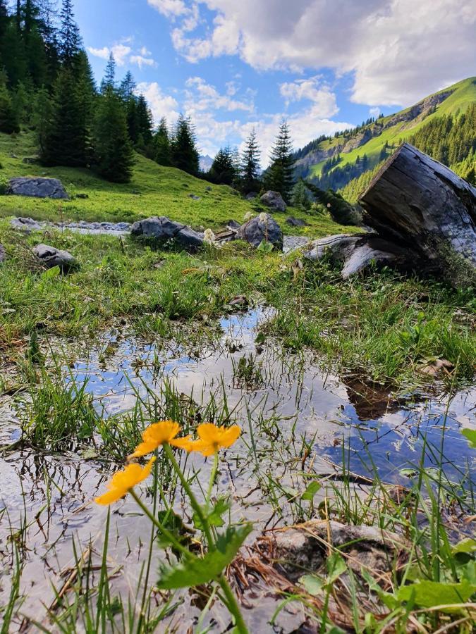 Appartamento Bichlhof Kaisers Esterno foto