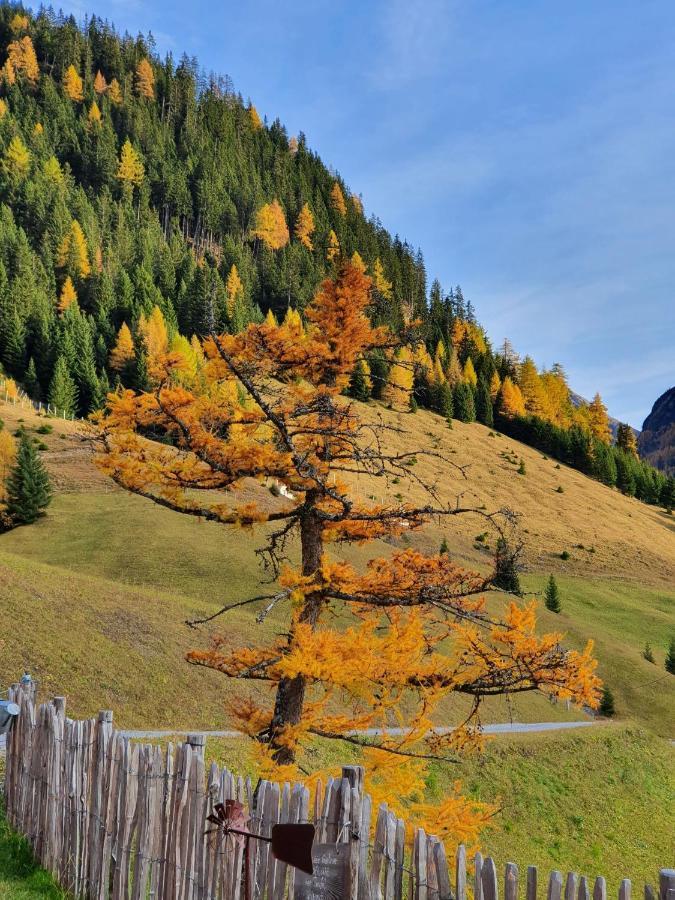 Appartamento Bichlhof Kaisers Esterno foto